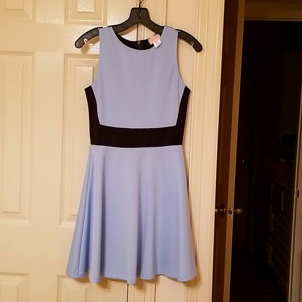 Chic Skater Dress